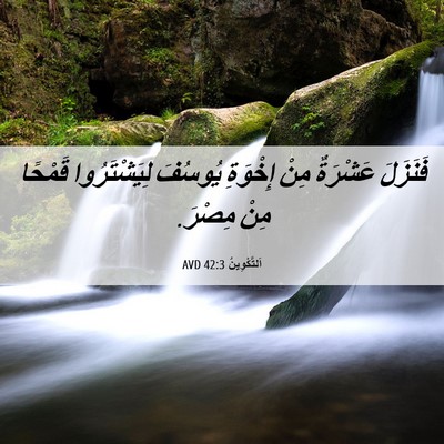 Picture 06 - اَلتَّكْوِينُ 42:3 AVD - فَنَزَلَ عَشْرَةٌ مِنْ - Bible Verse Picture