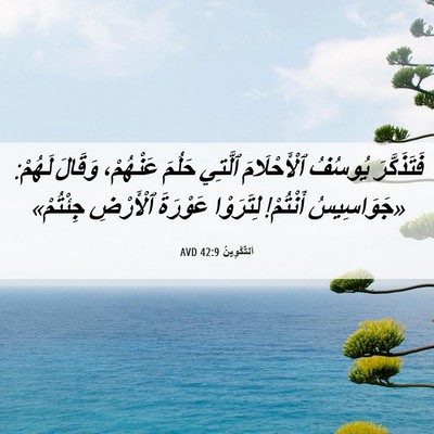 Picture 06 - اَلتَّكْوِينُ 42:9 AVD - فَتَذَكَّرَ يُوسُفُ - Bible Verse Picture