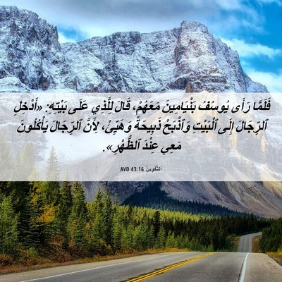 Picture 06 - اَلتَّكْوِينُ 43:16 AVD - فَلَمَّا رَأَى يُوسُفُ - Bible Verse Picture
