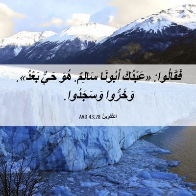 Picture 06 - اَلتَّكْوِينُ 43:28 AVD - فَقَالُوا: «عَبْدُكَ - Bible Verse Picture
