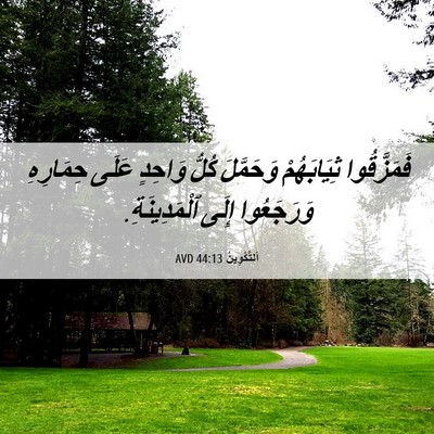 Picture 06 - اَلتَّكْوِينُ 44:13 AVD - فَمَزَّقُوا ثِيَابَهُمْ - Bible Verse Picture