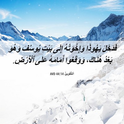 Picture 06 - اَلتَّكْوِينُ 44:14 AVD - فَدَخَلَ يَهُوذَا - Bible Verse Picture