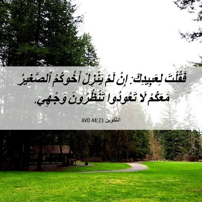 Picture 06 - اَلتَّكْوِينُ 44:23 AVD - فَقُلْتَ لِعَبِيدِكَ: إِنْ - Bible Verse Picture
