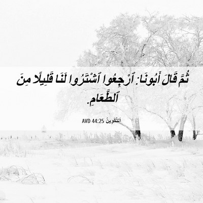Picture 06 - اَلتَّكْوِينُ 44:25 AVD - ثُمَّ قَالَ أَبُونَا: - Bible Verse Picture