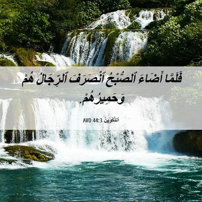 Picture 06 - اَلتَّكْوِينُ 44:3 AVD - فَلَمَّا أَضَاءَ - Bible Verse Picture