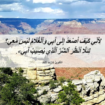 Picture 06 - اَلتَّكْوِينُ 44:34 AVD - لِأَنِّي كَيْفَ أَصْعَدُ - Bible Verse Picture