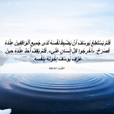 Picture 06 - اَلتَّكْوِينُ 45:1 AVD - فَلَمْ يَسْتَطِعْ يُوسُفُ - Bible Verse Picture