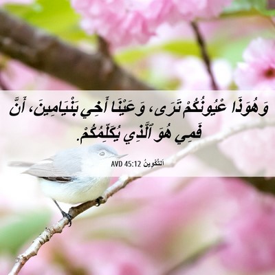 Picture 06 - اَلتَّكْوِينُ 45:12 AVD - وَهُوَذَا عْيُونُكُمْ - Bible Verse Picture