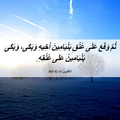 Picture 06 - اَلتَّكْوِينُ 45:14 AVD - ثُمَّ وَقَعَ عَلَى عُنُقِ - Bible Verse Picture