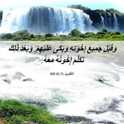 Picture 06 - اَلتَّكْوِينُ 45:15 AVD - وَقَبَّلَ جَمِيعَ - Bible Verse Picture