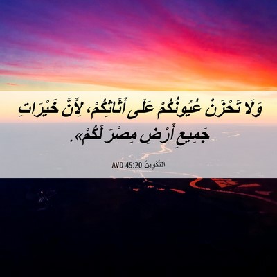 Picture 06 - اَلتَّكْوِينُ 45:20 AVD - وَلَا تَحْزَنْ - Bible Verse Picture