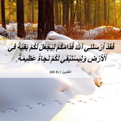 Picture 06 - اَلتَّكْوِينُ 45:7 AVD - فَقَدْ أَرْسَلَنِي ٱللهُ - Bible Verse Picture