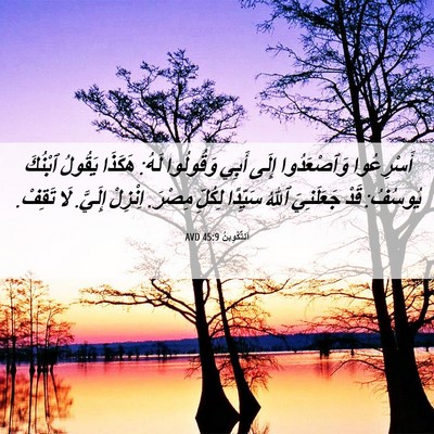 Picture 06 - اَلتَّكْوِينُ 45:9 AVD - أَسْرِعُوا وَٱصْعَدُوا - Bible Verse Picture