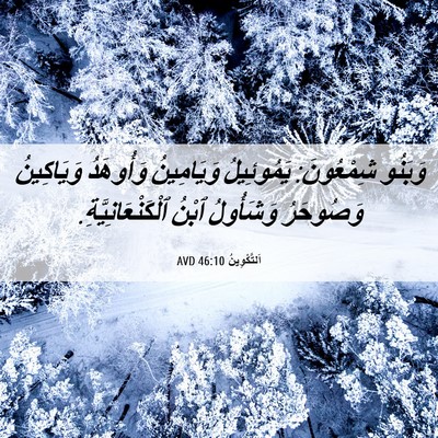 Picture 06 - اَلتَّكْوِينُ 46:10 AVD - وَبَنُو شِمْعُونَ: - Bible Verse Picture