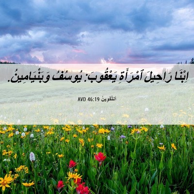 Picture 06 - اَلتَّكْوِينُ 46:19 AVD - اِبْنَا رَاحِيلَ - Bible Verse Picture