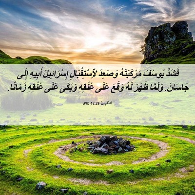 Picture 06 - اَلتَّكْوِينُ 46:29 AVD - فَشَدَّ يُوسُفُ - Bible Verse Picture