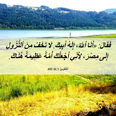 Picture 06 - اَلتَّكْوِينُ 46:3 AVD - فَقَالَ: «أَنَا ٱللهُ، - Bible Verse Picture