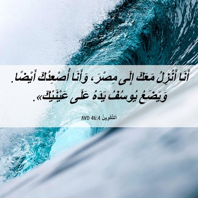 Picture 06 - اَلتَّكْوِينُ 46:4 AVD - أَنَا أَنْزِلُ مَعَكَ - Bible Verse Picture