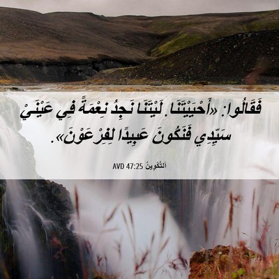Picture 06 - اَلتَّكْوِينُ 47:25 AVD - فَقَالُوا: «أَحْيَيْتَنَا. - Bible Verse Picture