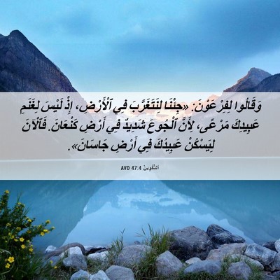 Picture 06 - اَلتَّكْوِينُ 47:4 AVD - وَقَالُوا لِفِرْعَوْنَ: - Bible Verse Picture