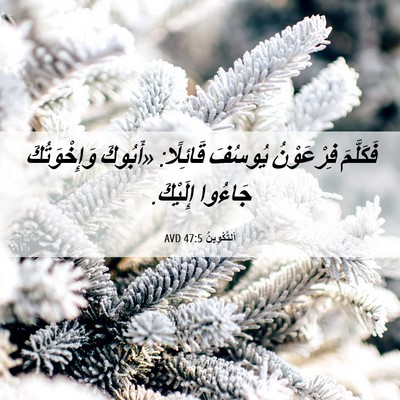 Picture 06 - اَلتَّكْوِينُ 47:5 AVD - فَكَلَّمَ فِرْعَوْنُ - Bible Verse Picture