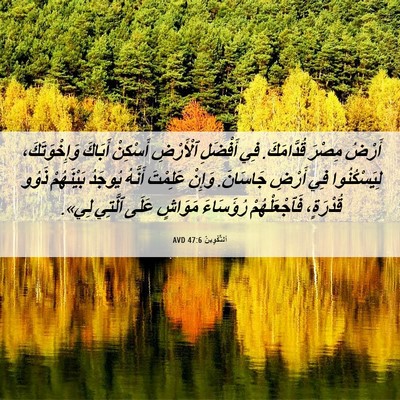 Picture 06 - اَلتَّكْوِينُ 47:6 AVD - أَرْضُ مِصْرَ قُدَّامَكَ. - Bible Verse Picture