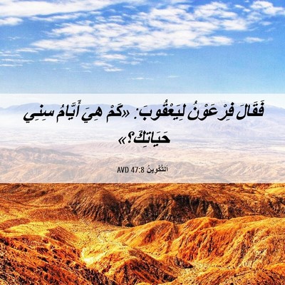 Picture 06 - اَلتَّكْوِينُ 47:8 AVD - فَقَالَ فِرْعَوْنُ - Bible Verse Picture