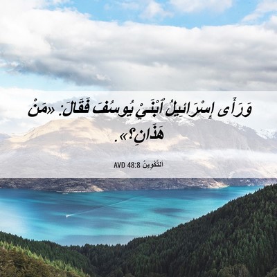 Picture 06 - اَلتَّكْوِينُ 48:8 AVD - وَرَأَى إِسْرَائِيلُ - Bible Verse Picture