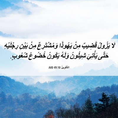 Picture 06 - اَلتَّكْوِينُ 49:10 AVD - لَا يَزُولُ قَضِيبٌ مِنْ - Bible Verse Picture