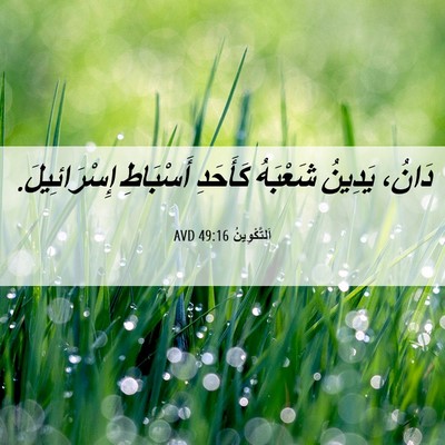 Picture 06 - اَلتَّكْوِينُ 49:16 AVD - دَانُ، يَدِينُ شَعْبَهُ - Bible Verse Picture