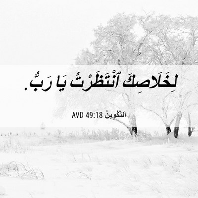 Picture 06 - اَلتَّكْوِينُ 49:18 AVD - لِخَلَاصِكَ ٱنْتَظَرْتُ - Bible Verse Picture