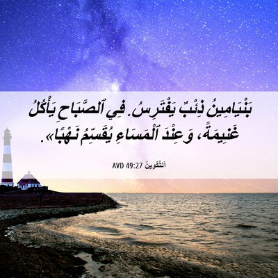 Picture 06 - اَلتَّكْوِينُ 49:27 AVD - بَنْيَامِينُ ذِئْبٌ - Bible Verse Picture