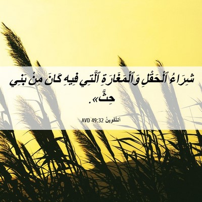 Picture 06 - اَلتَّكْوِينُ 49:32 AVD - شِرَاءُ ٱلْحَقْلِ - Bible Verse Picture