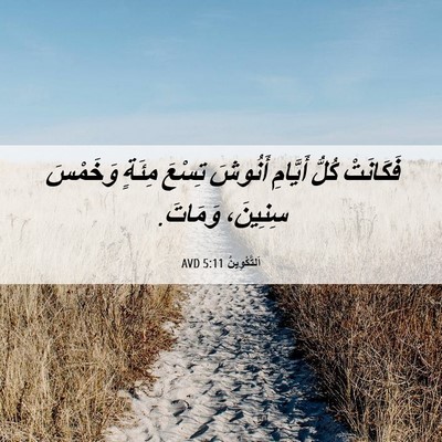 Picture 06 - اَلتَّكْوِينُ 5:11 AVD - فَكَانَتْ كُلُّ أَيَّامِ - Bible Verse Picture