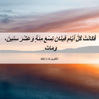 Picture 06 - اَلتَّكْوِينُ 5:14 AVD - فَكَانَتْ كُلُّ أَيَّامِ - Bible Verse Picture