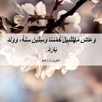 Picture 06 - اَلتَّكْوِينُ 5:15 AVD - وَعَاشَ مَهْلَلْئِيلُ - Bible Verse Picture