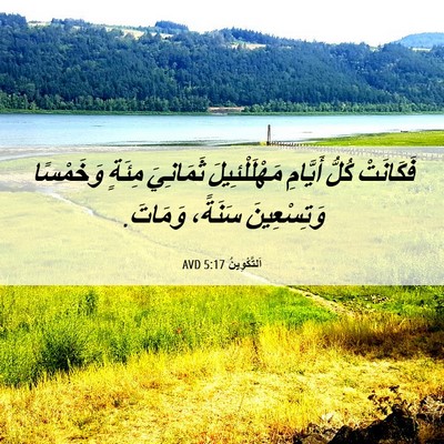 Picture 06 - اَلتَّكْوِينُ 5:17 AVD - فَكَانَتْ كُلُّ أَيَّامِ - Bible Verse Picture