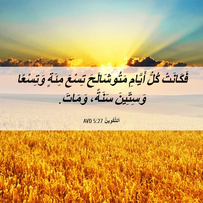 Picture 06 - اَلتَّكْوِينُ 5:27 AVD - فَكَانَتْ كُلُّ أَيَّامِ - Bible Verse Picture
