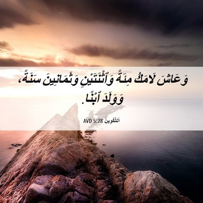 Picture 06 - اَلتَّكْوِينُ 5:28 AVD - وَعَاشَ لَامَكُ مِئَةً - Bible Verse Picture