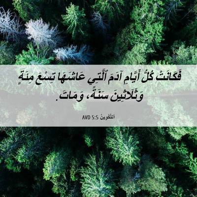 Picture 06 - اَلتَّكْوِينُ 5:5 AVD - فَكَانَتْ كُلُّ أَيَّامِ - Bible Verse Picture