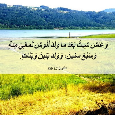 Picture 06 - اَلتَّكْوِينُ 5:7 AVD - وَعَاشَ شِيثُ بَعْدَ مَا - Bible Verse Picture