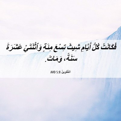 Picture 06 - اَلتَّكْوِينُ 5:8 AVD - فَكَانَتْ كُلُّ أَيَّامِ - Bible Verse Picture