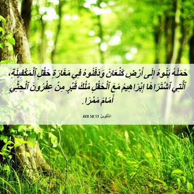 Picture 06 - اَلتَّكْوِينُ 50:13 AVD - حَمَلَهُ بَنُوهُ إِلَى - Bible Verse Picture