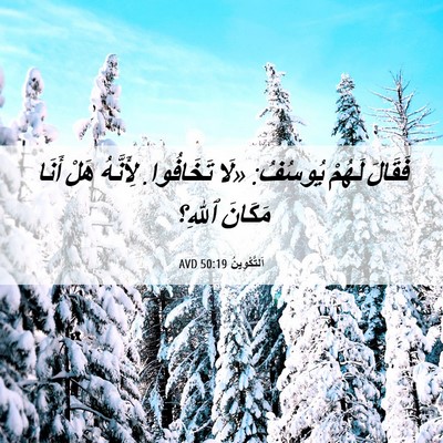 Picture 06 - اَلتَّكْوِينُ 50:19 AVD - فَقَالَ لَهُمْ يُوسُفُ: - Bible Verse Picture