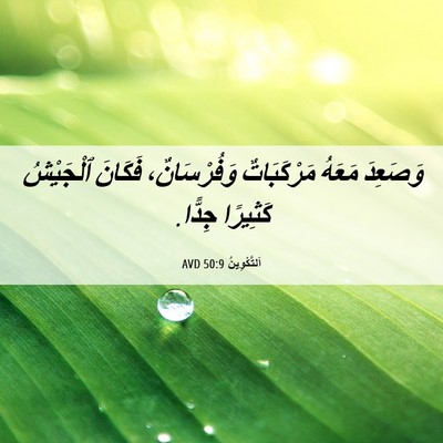 Picture 06 - اَلتَّكْوِينُ 50:9 AVD - وَصَعِدَ مَعَهُ - Bible Verse Picture