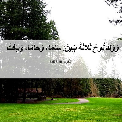 Picture 06 - اَلتَّكْوِينُ 6:10 AVD - وَوَلَدَ نُوحٌ ثَلَاثَةَ - Bible Verse Picture