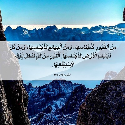 Picture 06 - اَلتَّكْوِينُ 6:20 AVD - مِنَ ٱلطُّيُورِ - Bible Verse Picture