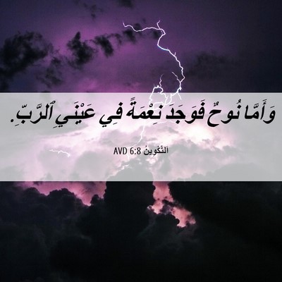 Picture 06 - اَلتَّكْوِينُ 6:8 AVD - وَأَمَّا نُوحٌ فَوَجَدَ - Bible Verse Picture