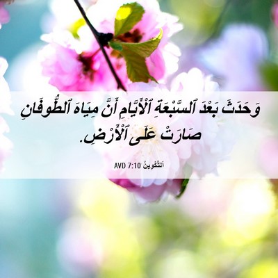 Picture 06 - اَلتَّكْوِينُ 7:10 AVD - وَحَدَثَ بَعْدَ - Bible Verse Picture