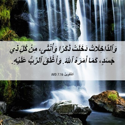 Picture 06 - اَلتَّكْوِينُ 7:16 AVD - وَٱلدَّاخِلَاتُ دَخَلَتْ - Bible Verse Picture